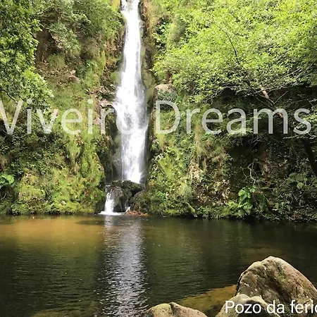Dreams Вивейро