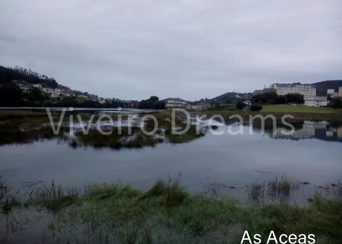 Tatil Evi Dreams Viveiro