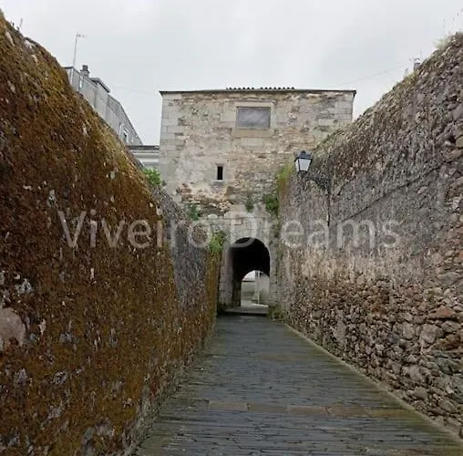 Tatil Evi Dreams Viveiro