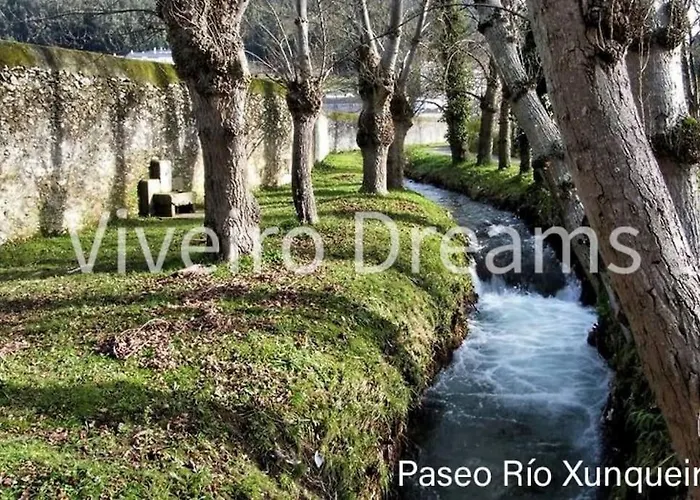 Dreams * Viveiro